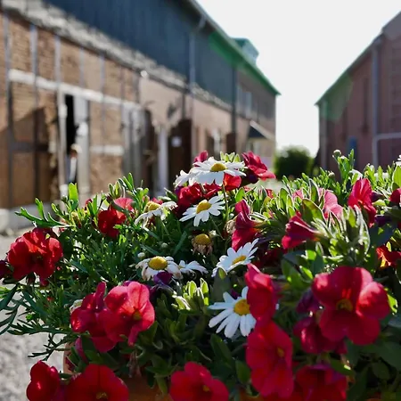 Appartement Knusthof Lafrenz - West